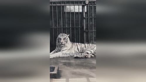 原来美不美一眼就能看出来