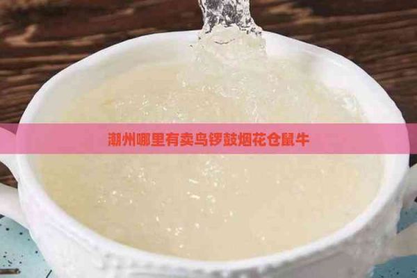 潮州哪里有卖鸟锣鼓烟花仓鼠牛