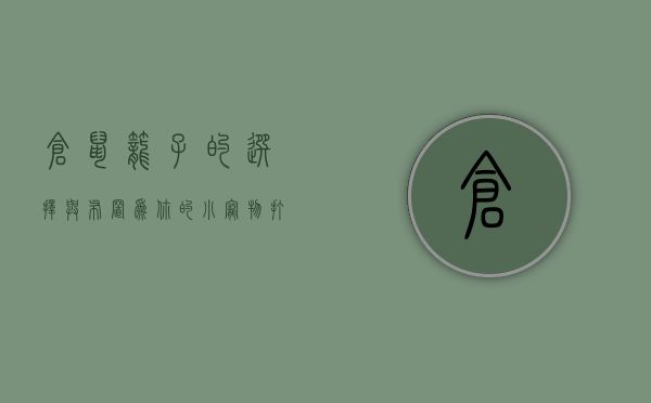 仓鼠笼子的选择与布置，为你的小宠物打造舒适家园