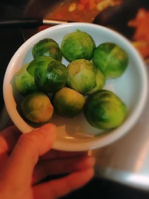 ★宠物食谱★狗狗最爱的西红柿通心粉的做法 步骤4