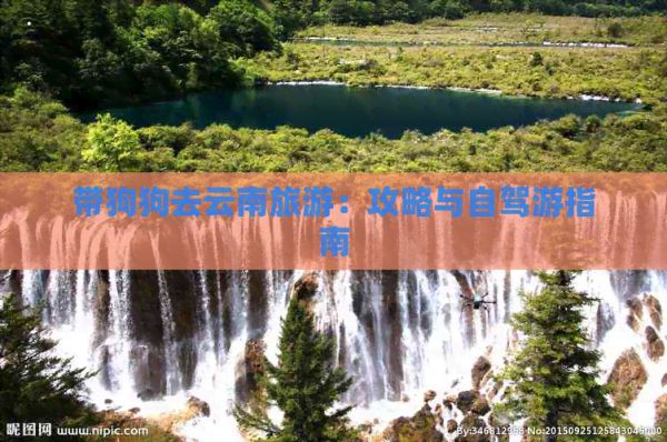 带狗狗去云南旅游：攻略与自驾游指南