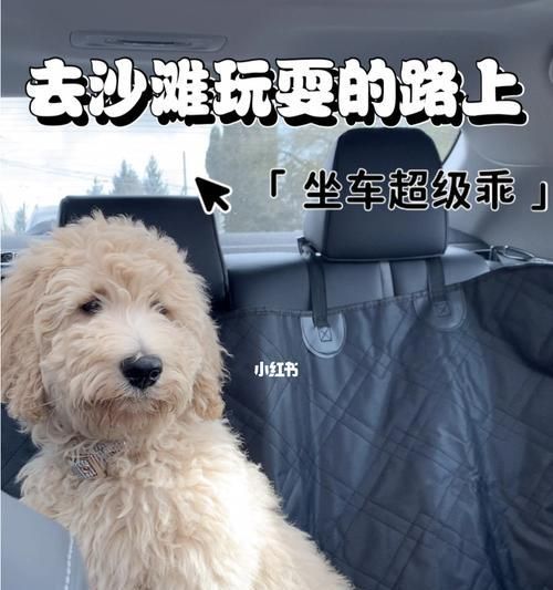 带宠物出行的必备小技巧（狗狗出行攻略，让宠物轻松享受旅程）