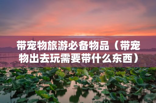 带宠物旅游必备物品（带宠物出去玩需要带什么东西）
