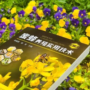 蜜蜂养殖实用技术（第2版）