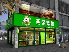 东营宠物店猫粮种类齐全