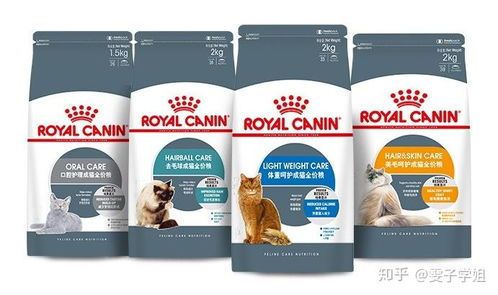 优质耐用猫粮推荐:皇家猫粮。