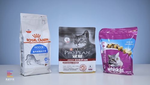 优质耐用猫粮推荐:皇家猫粮。
