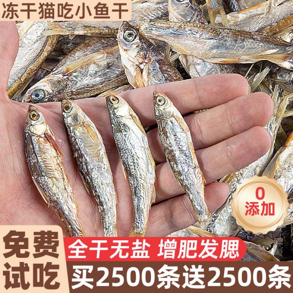 【rjm8.com狗狗用品54】比熊犬吃什么食物最好消化:无盐小鱼干猫零食增肥发腮磨牙洁齿猫咪零食猫吃鱼干成幼猫粮3141