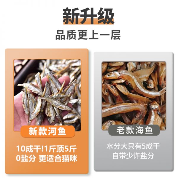 【rjm8.com狗狗用品54】比熊犬吃什么食物最好消化:无盐小鱼干猫零食增肥发腮磨牙洁齿猫咪零食猫吃鱼干成幼猫粮3143