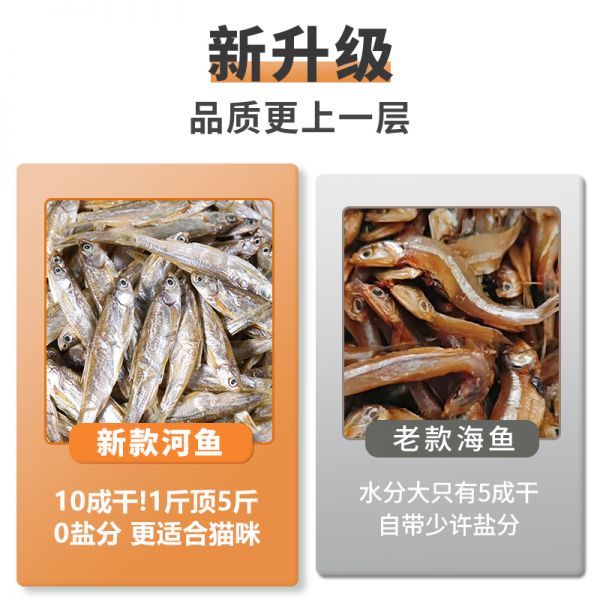 【rjm8.com狗狗用品54】比熊犬吃什么食物最好消化:无盐小鱼干猫零食增肥发腮磨牙洁齿猫咪零食猫吃鱼干成幼猫粮3145