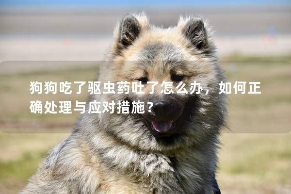 狗狗吃了驱虫药吐了怎么办，如何正确处理与应对措施？