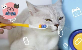 猫咪误舔驱虫药,立即就医,遵医嘱处理。