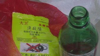 宠物误食老鼠药：紧急救援指南！