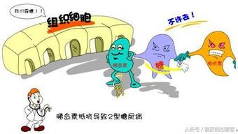 兔子为什么会得低血糖症呢?
