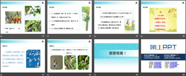 《一只小鸟》PPT教学课件