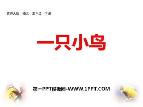《一只小鸟》PPT免费下载