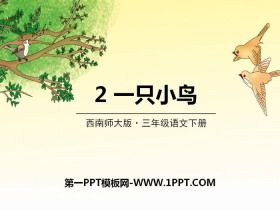《一只小鸟》PPT课件下载
