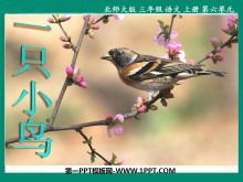 《一只小鸟》PPT课件2