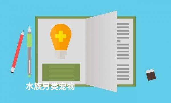 水族另类宠物