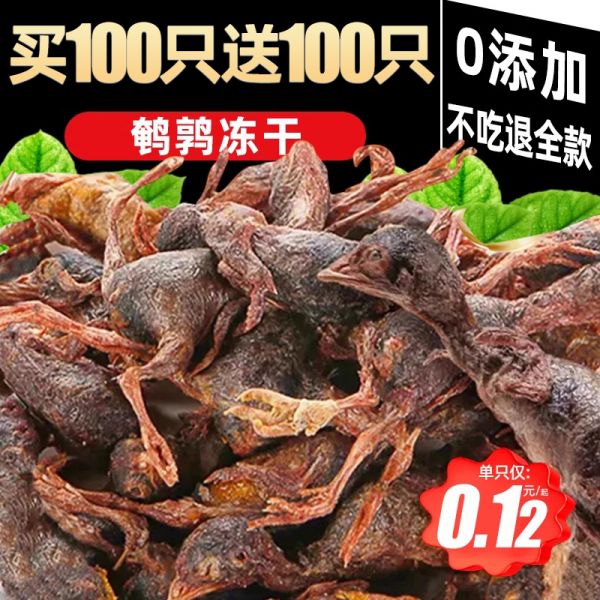 【rjm8.com狗狗用品32】第一次养狗要注意什么事项：鹌鹑冻干宠物狗狗零食洁磨牙齿棒猫咪营养补钙增肥发腮幼猫幼犬粮2481