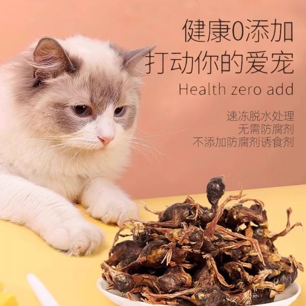 【rjm8.com狗狗用品32】第一次养狗要注意什么事项：鹌鹑冻干宠物狗狗零食洁磨牙齿棒猫咪营养补钙增肥发腮幼猫幼犬粮2482