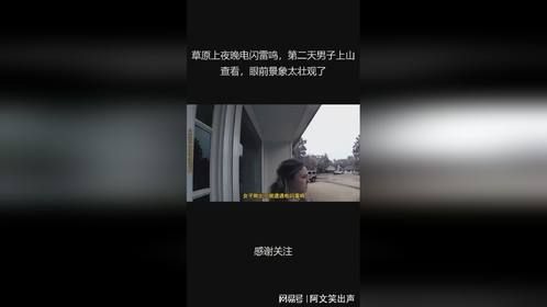 草原上夜晚电闪雷鸣，第二天男子上山查看，眼前景象太壮观了