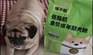 低脂狗粮品牌推荐：馋不腻低脂肪配方守护爱犬健康体态