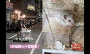 奴才搬家仓鼠先动 半夜马路推「移动城堡」连鼠带笼一起走