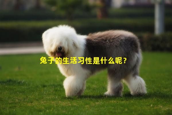 兔子的生活习性是什么呢?