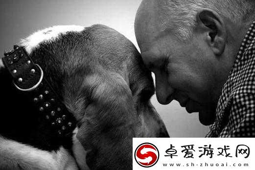 与动物的奇妙互动