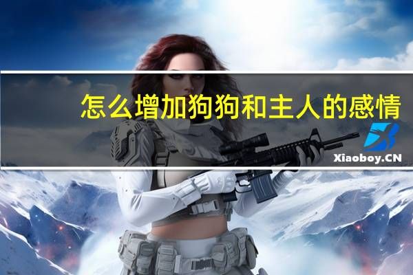 怎么增加狗狗和主人的感情