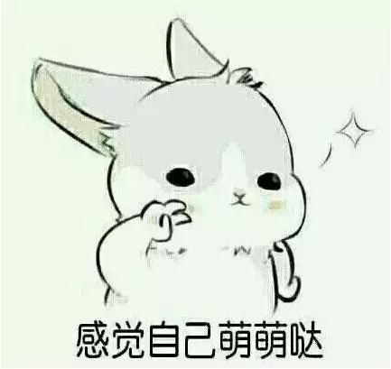 猫咪跟狗狗亲密互动,可以进来看看这篇文章