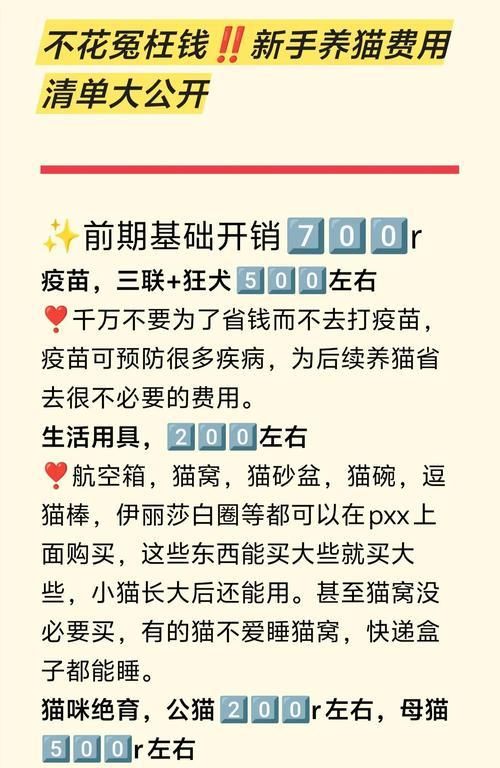 如何在10万资金下开设猫舍？（起步资金和关键因素解析）