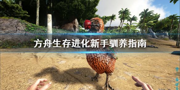 游侠网1