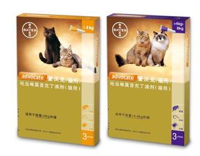 宠物孕期驱虫,选药指南