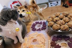 天然宠物大力丸&紫薯饼干的做法 步骤3