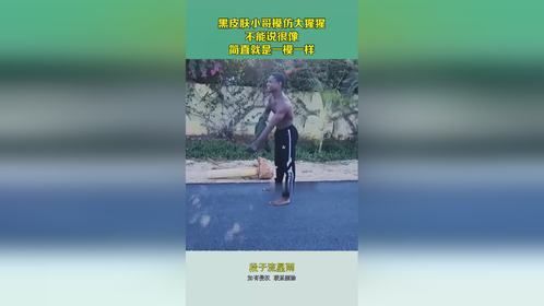 黑皮肤小哥模仿大猩猩，不能说很像，简直就是一模一样！