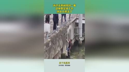 河边无意间拍到一幕，这鱼要是掉下去，他也不想活了！