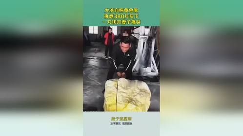 大爷自称黄金眼，执意380万买下，一刀切开妻子痛哭！