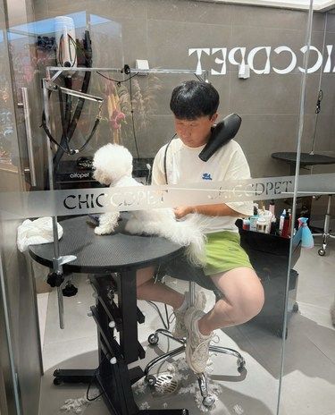 在万象城看狗狗美容[惊叹]