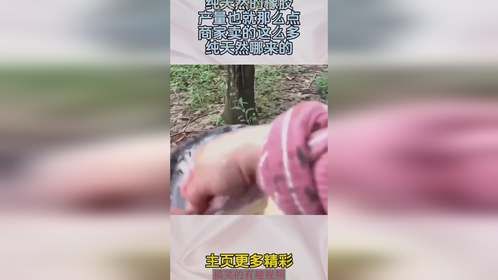纯天然的橡胶，产量也就那么点，商家卖的这么多纯天然哪来的
