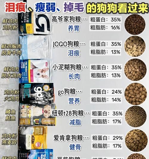 小狗狗的胃部保健，如何正确喂养（营养均衡，让小狗狗的胃更健康）