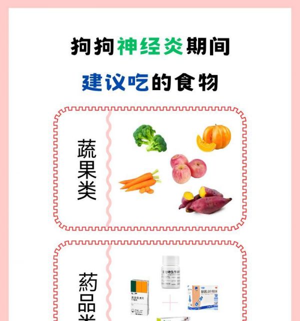 小狗狗的胃部保健，如何正确喂养（营养均衡，让小狗狗的胃更健康）