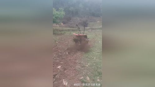 我称之为疯狂的小手扶
