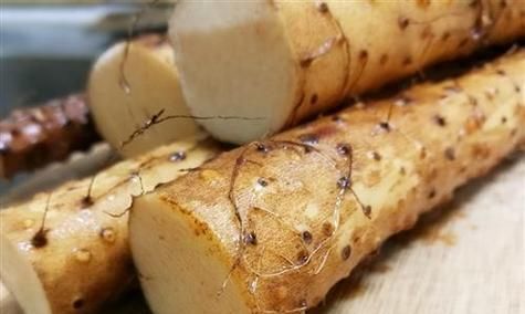 宠物狗可以食用山药吗？（探究宠物狗食用山药的利与弊）
