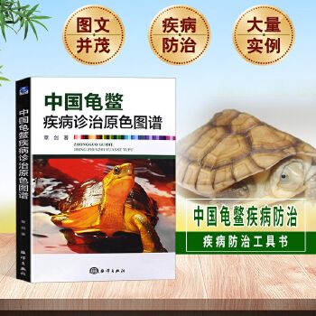 中国龟鳖疾病诊治原色图谱章剑水产养殖书籍大全轻松掌握龟鳖健康养殖书乌龟养殖书籍大全养龟与疾病防治高效养龟技术大全书