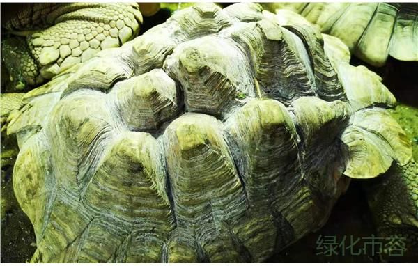 两爬馆3月份技术学习3.jpg