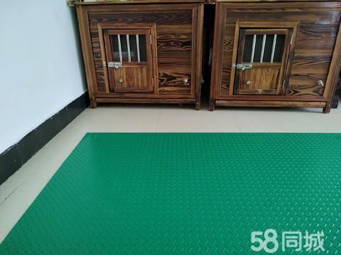 杭州雪飞宠物服务有限公司·德清雪飞训犬寄养学校有保障，专业改各种狗狗坏习惯，科目训练