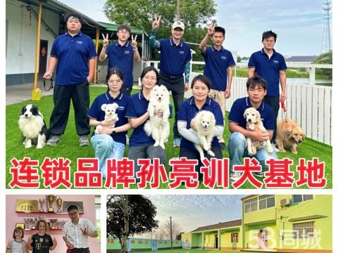 孙亮星宠物服务·德清孙亮连锁品牌寄养训犬学校德清寄养训犬基地训狗狗，环境好
