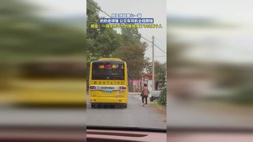 网友晒超暖心一幕，奶奶走得慢 公交车司机全程跟随，网友：一场不慌不忙的等待 暖了不止两个人